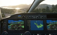 Flight Simulation