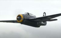 Warbirds